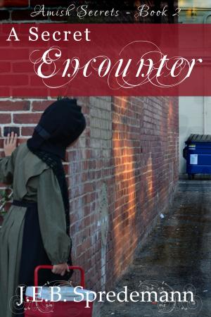 Cover of A Secret Encounter (Amish Secrets - Book 2)