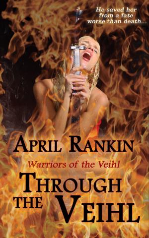 Cover of the book Through the Veihl by Katica Locke