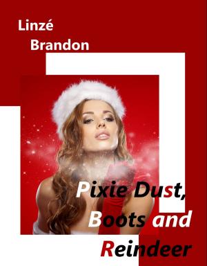 Cover of the book Pixie Dust, Boots and Reindeer by Linzé Brandon, Vanessa Wright, Charmain Lines, Carmen Botman