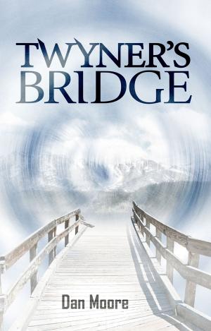 Cover of the book Twyner's Bridge by TS S. Fulk