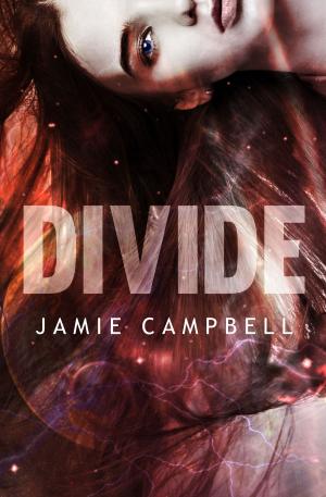 Cover of Divide