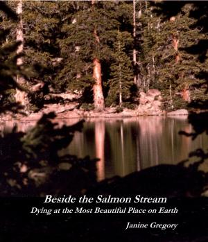 Cover of the book Beside the Salmon Stream: Dying at the Most Beautiful Place on Earth by Karen Barnes