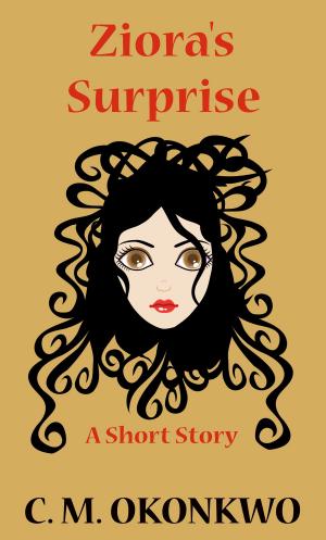 Book cover of Ziora's Surprise