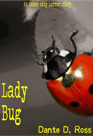 Cover of the book Lady Bug by Jude Ud