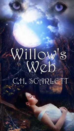 Cover of the book Willow's Web by K.M. Robinson