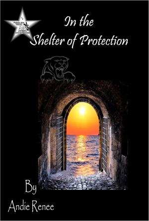 bigCover of the book In the Shelter of Protection by 