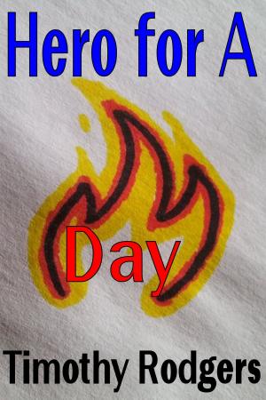 Book cover of Hero For A Day