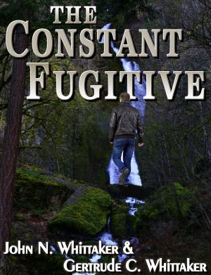 Book cover of The Constant Fugitive