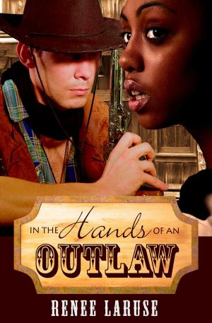 Cover of the book In the Hands of an Outlaw by Matthew David