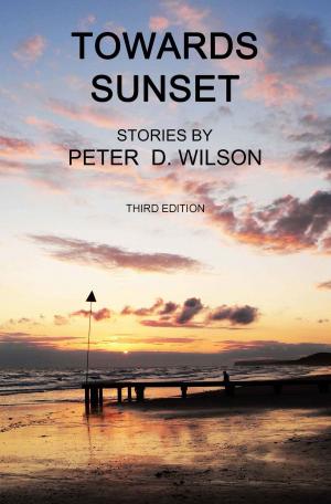 Cover of the book Towards Sunset (third edition) by Kenneth Igiri