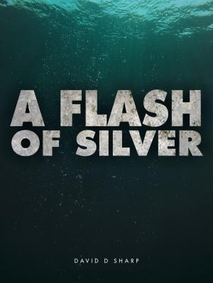 Cover of the book A Flash of Silver by Lindsay Randall