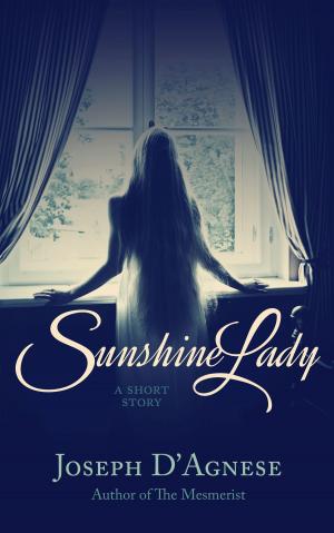 Cover of the book Sunshine Lady by SC Harrison