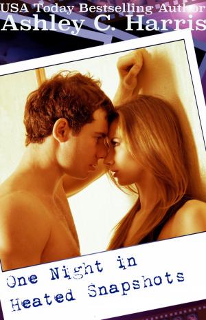 Cover of the book One Night In Heated Snapshots by Ryanne Anthony