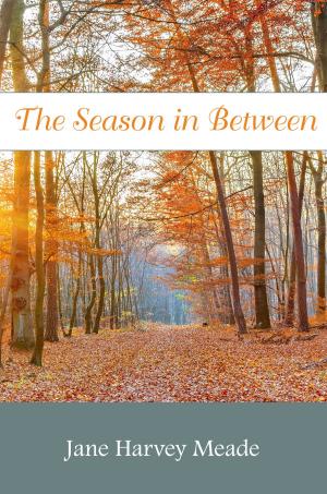 Book cover of The Season in Between