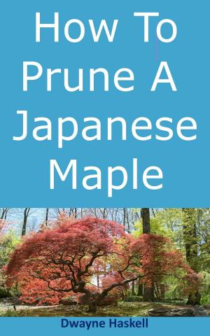 Cover of How To Prune A Japanese Maple