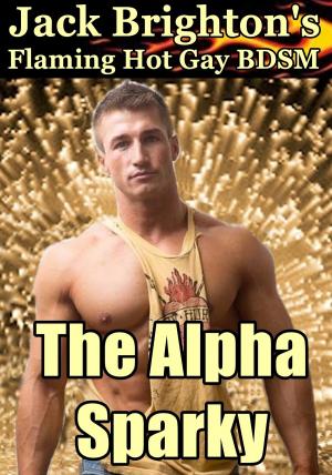 Book cover of The Alpha Sparky