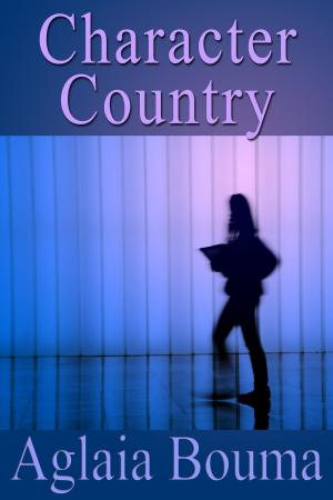 bigCover of the book Character Country by 