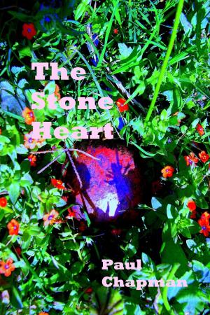 Cover of the book The Stone Heart by Pete Barrett