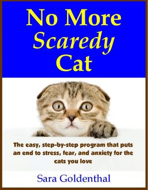 Cover of No More Scaredy Cat