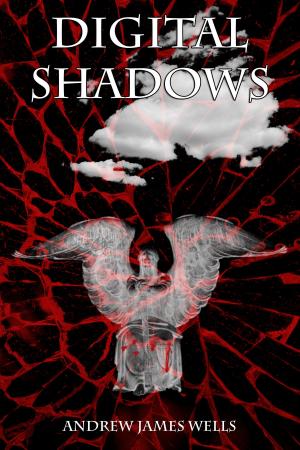Book cover of Digital Shadows