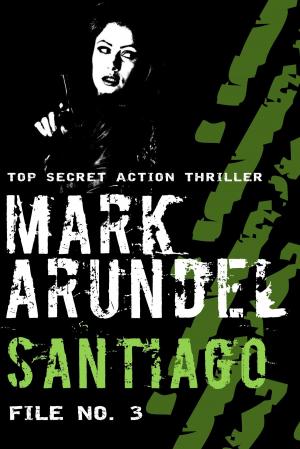 Cover of the book Santiago by Lindsey Jayne