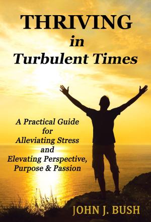 Book cover of Thriving in Turbulent Times: A Practical Guide for Alleviating Stress and Elevating Perspective, Purpose & Passion