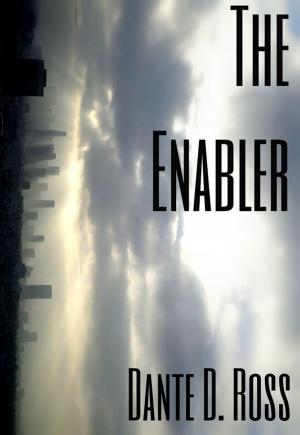 Cover of the book The Enabler by Brian Bosselman
