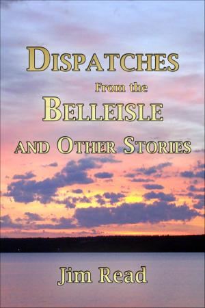 Book cover of Dispatches From The Belleisle And Other Stories