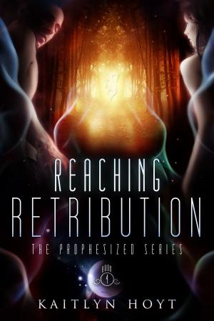 Cover of the book Reaching Retribution by Teresa Vanmeter