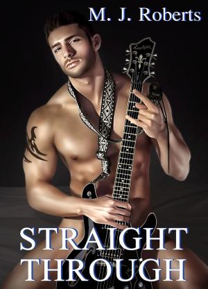 Cover of the book Straight Through by M. J. Roberts