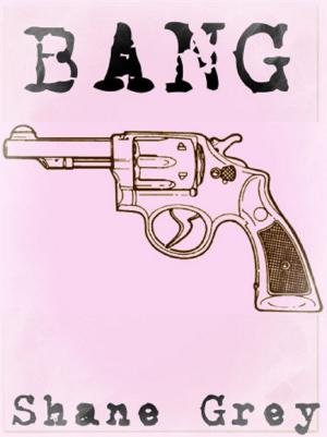 Cover of the book Bang by Jonas Winner