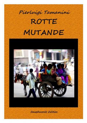 Cover of the book Rotte mutande o l'inquietudine dell'eterno cercare by 艾瑞卡．喬翰森