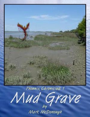 Cover of the book Mud Grave by Rhett C. Bruno