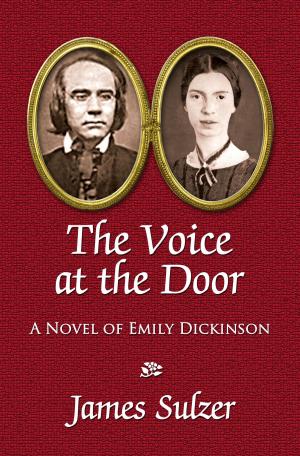 Cover of the book The Voice at the Door by P.S. Finley