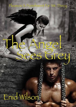 Book cover of The Angel Sees Grey: Pleasure and Punishment for Mr. Darcy
