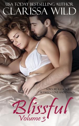 Cover of the book Blissful Volume 3 by Joy Bassetti Kruger
