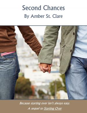Cover of the book Second Chances by Tamsen Parker