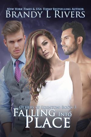 Cover of the book Falling Into Place by Brandy L Rivers