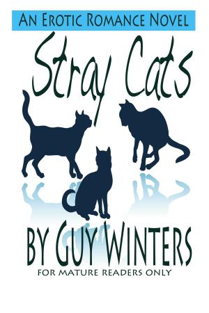 Cover of the book Stray Cats by A.J. Hoover