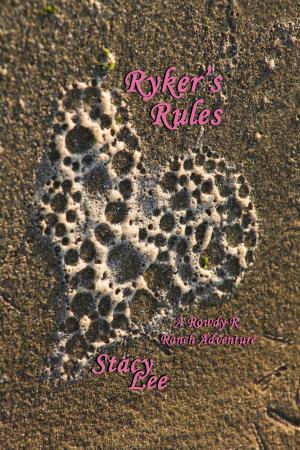 Cover of the book Ryker's Rules by Christi Barth