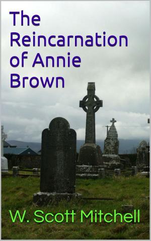 Cover of the book The Reincarnation of Annie Brown by AC Cooper