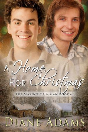 bigCover of the book A Home For Christmas by 