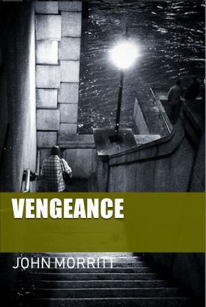 Cover of the book Vengeance by Tina Wainscott, Jaime Rush