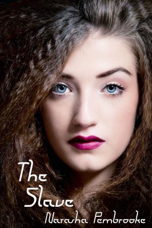 Cover of the book The Slave by Jennifer Crusie