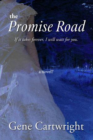 Cover of the book The Promise Road by Monica James
