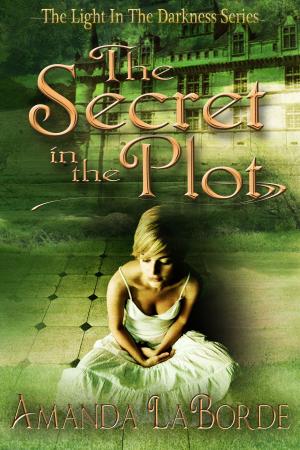 Cover of The Light In The Darkness Book 1: The Secret In The Plot
