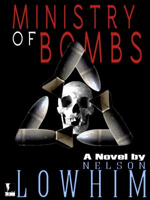 Cover of the book Ministry of Bombs by Aaron Grunn