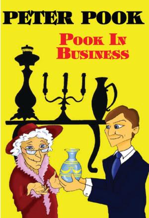 Cover of the book Pook In Business by Peter Pook