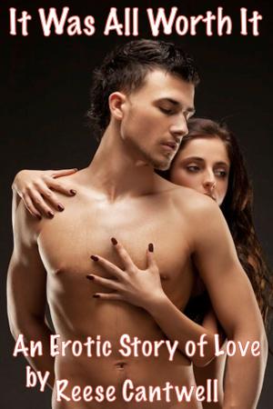 Cover of It Was All Worth It: An Erotic Story of Love