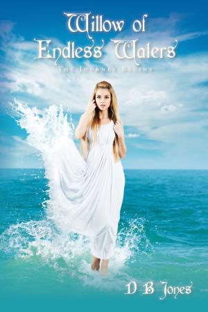Book cover of Willow of Endless Waters the Journey Begins